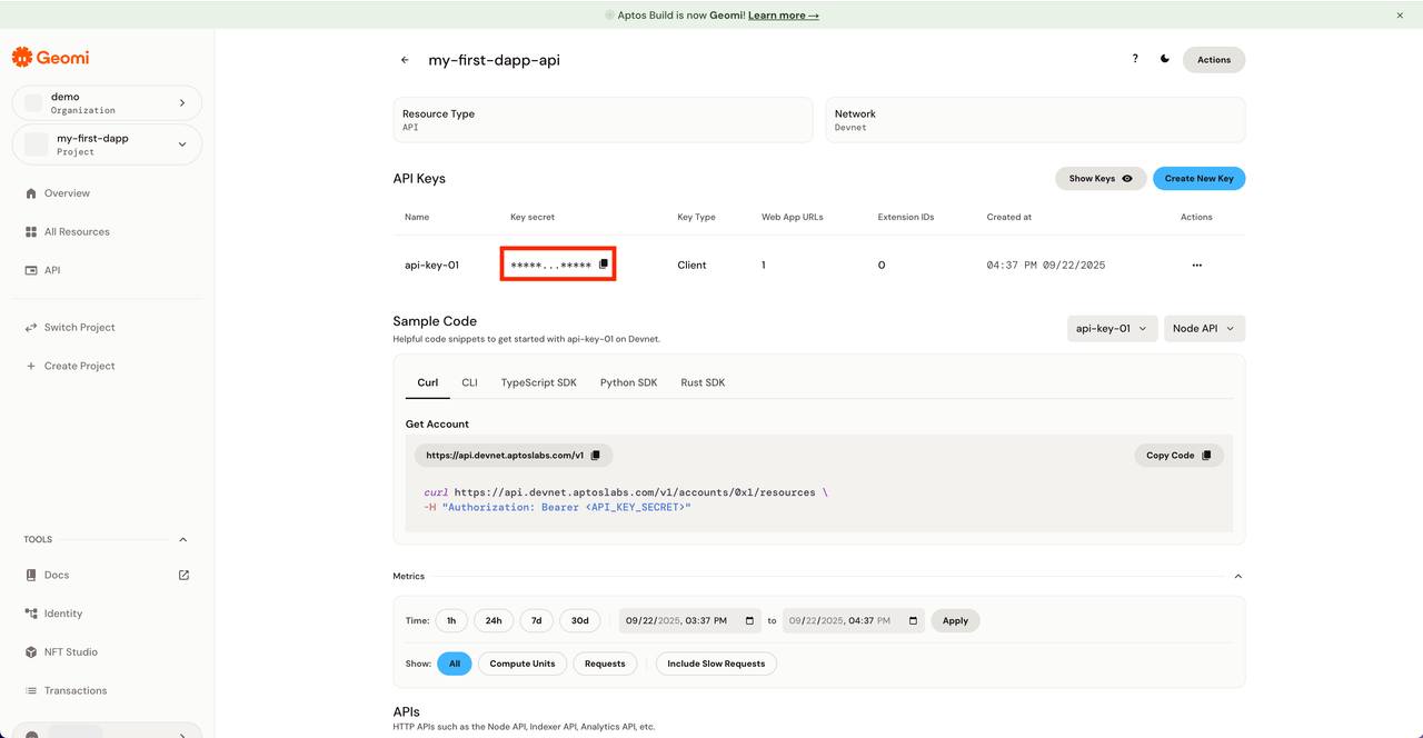 Geomi API key creation 6